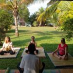 Garden setting at an Ayurveda yoga retreat in Bentota, Sri Lanka