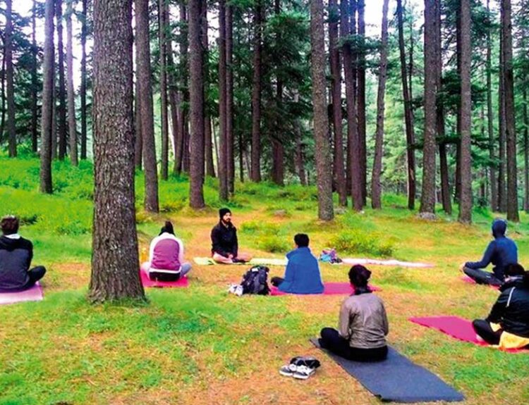 -Day-Seven-Chakra-Journey-Yoga-Meditation-Retreat-Mandrem-Goa