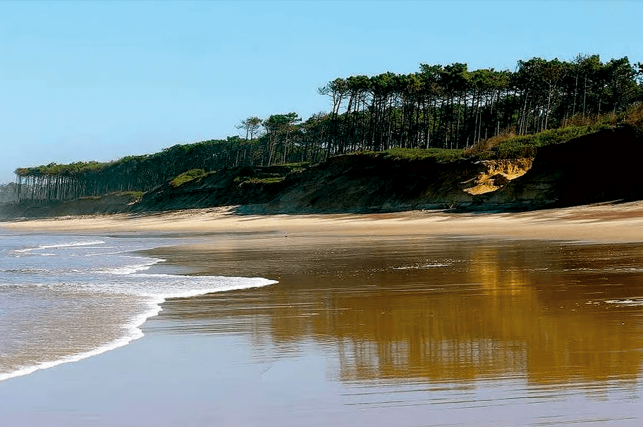 fluidity yoga session at an eco retreat in Porto, Portuga
