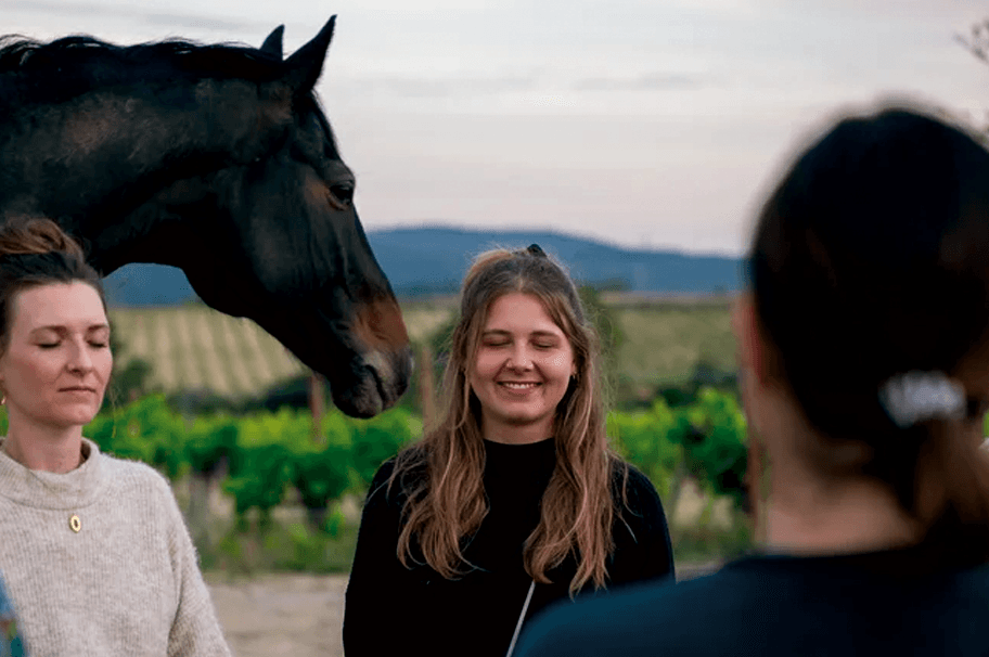 Yoga retreat near Barcelona with horses in a quiet field