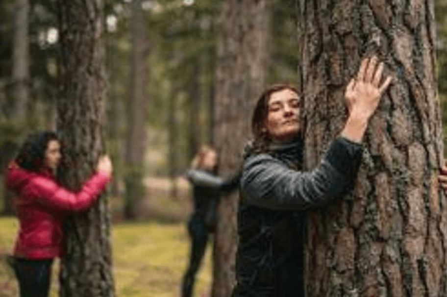 2-days-meditation-retreat-in-wales-united-kingdom