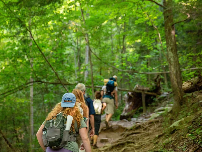 Yurt accommodation surrounded by forest at Seven Springs Retreats, Maryville, Tennessee